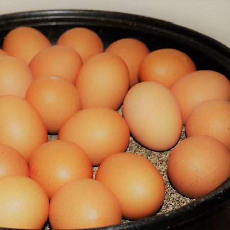 호텔 암 본호퍼플라츠 드레스덴 외부 사진